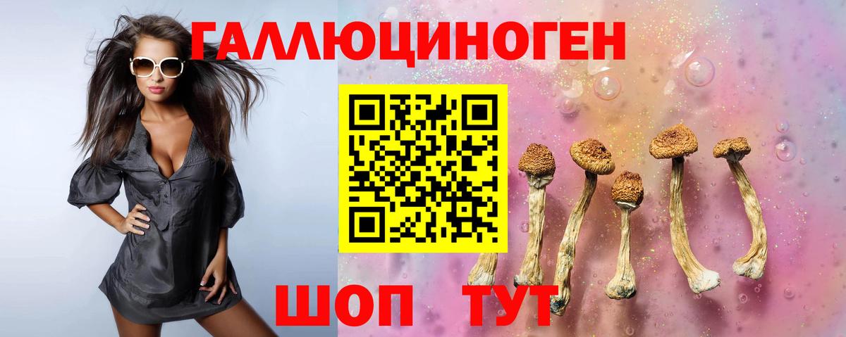 Орёл  Галлюциногенные грибы Cubensis  купить  цена  Вход с VPN 